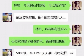 勉县贷款清欠服务